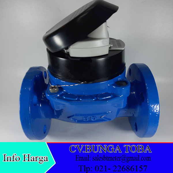Water meter Itron Woltex